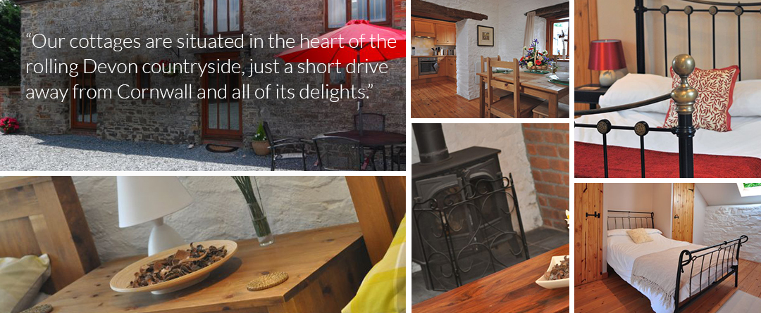 Dog Friendly Cottages Dartmoor